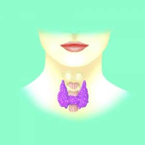 Female thyroid
