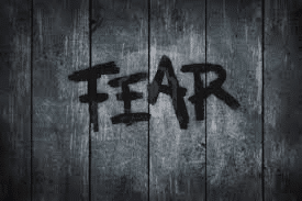 Fear Factor