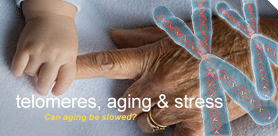 Telomeres and Aging