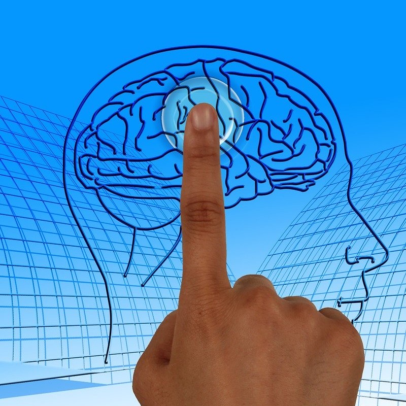 brain fog