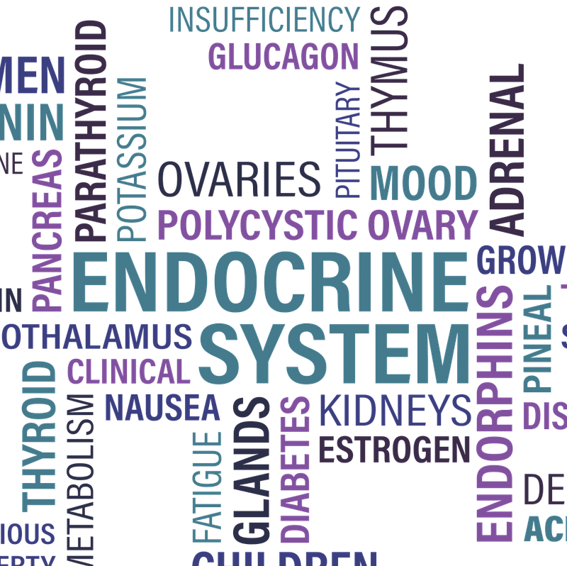 thyroid, thyroid optimization